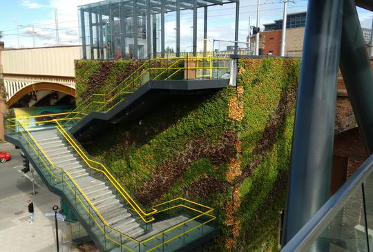Green wall at Deansgate